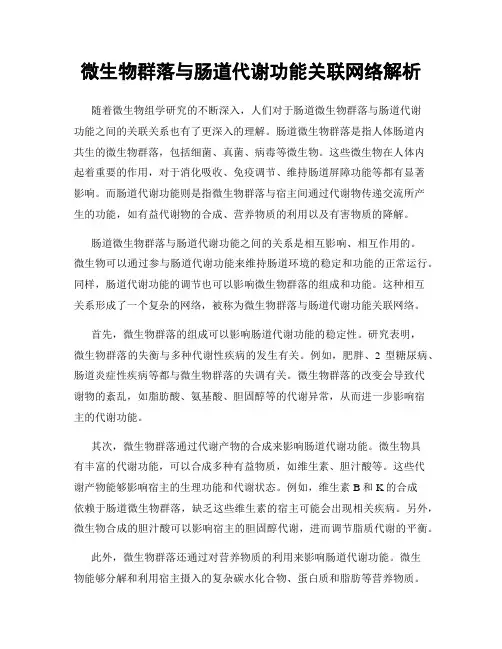 微生物群落与肠道代谢功能关联网络解析