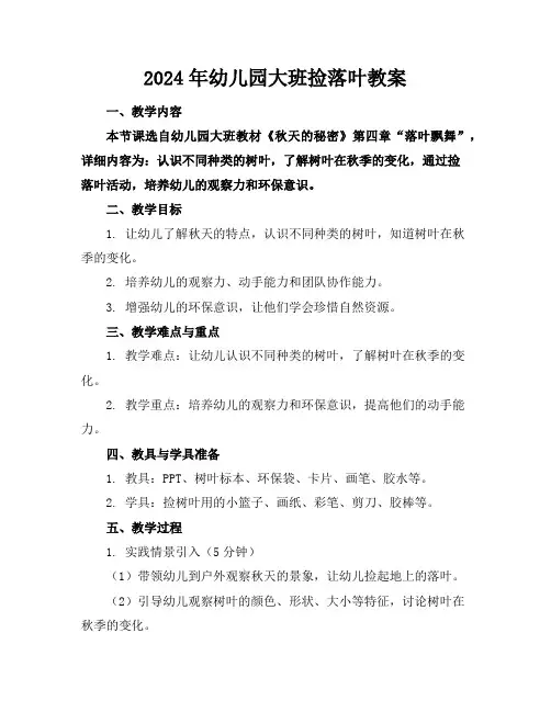 2024年幼儿园大班捡落叶教案