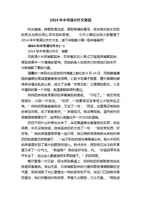 2014年中考满分作文集锦
