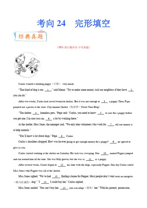 考向24完形填空(讲练结合)(重点)-2022年中考英语一轮复习考点微专题