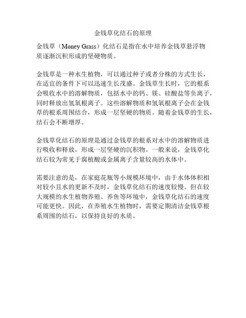 金钱草化结石的原理