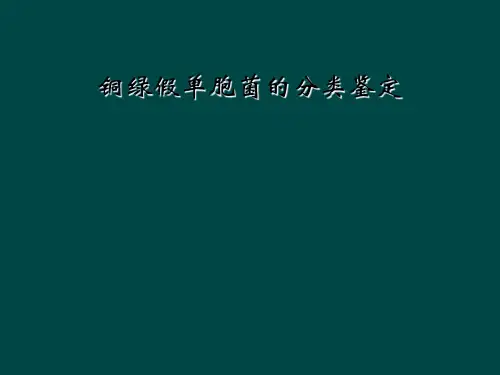 铜绿假单胞菌的分类鉴定