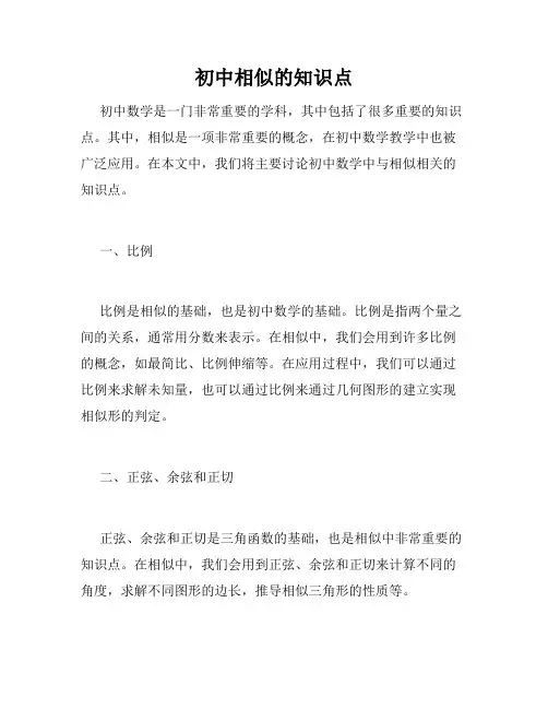 初中相似的知识点