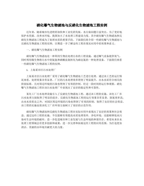 硝化曝气生物滤池与反硝化生物滤池工程实例