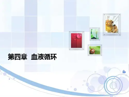 第4章 循环机能