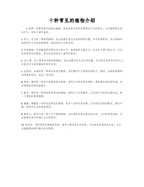十种常见的植物介绍