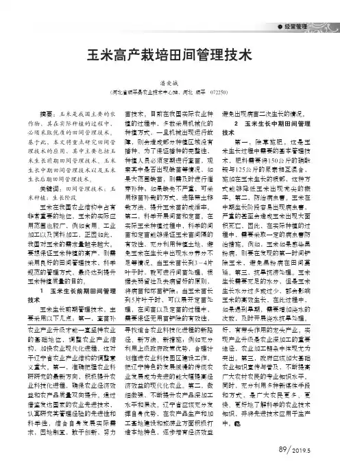 玉米高产栽培田间管理技术