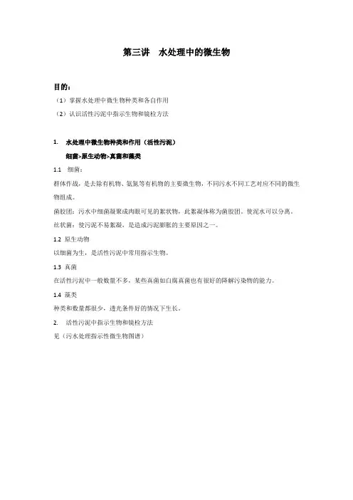 第三讲  水处理中的微生物