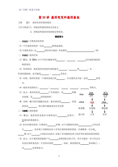 高三生物一轮复习精品学案1：第20讲 基因突变和基因重组