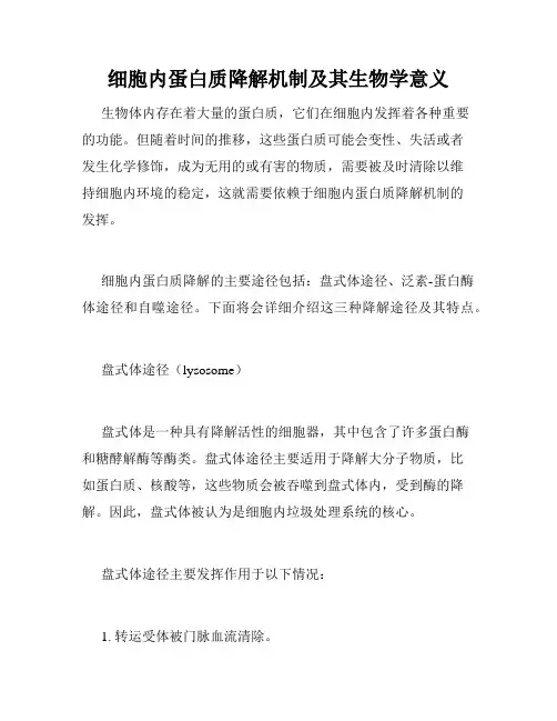 细胞内蛋白质降解机制及其生物学意义