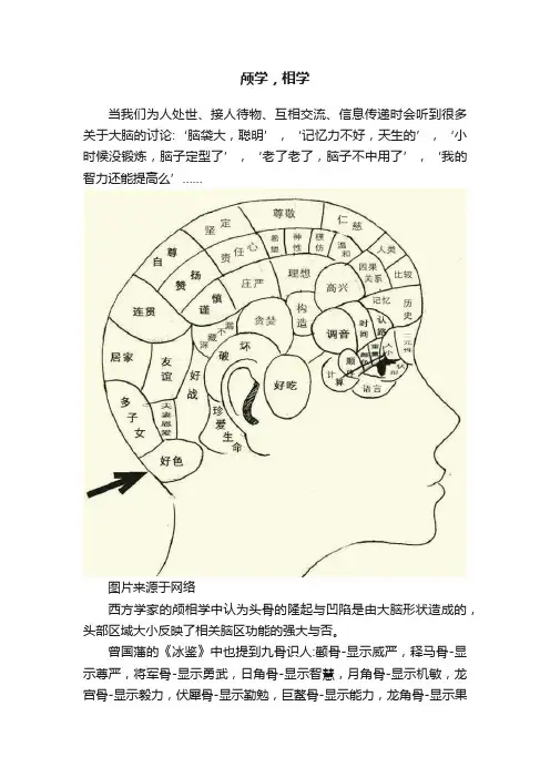 颅学，相学