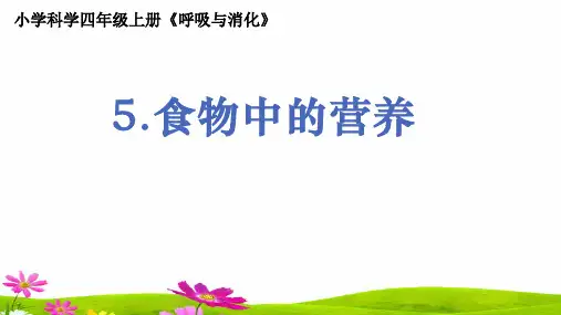 教科版小学科学四年级上册《食物中的营养》教学课件