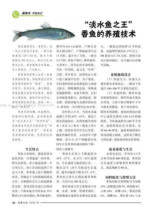 “淡水鱼之王”香鱼的养殖技术