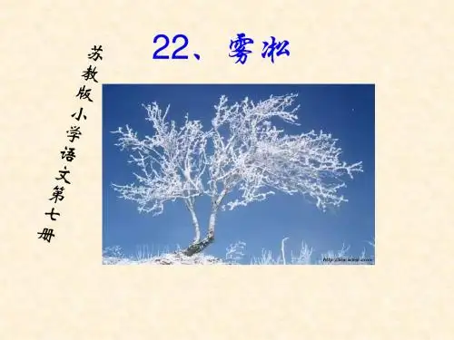 雾凇ppt课件