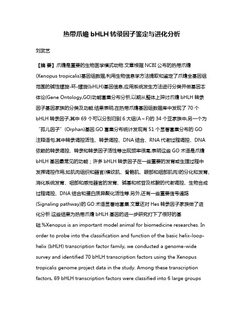 热带爪蟾bHLH转录因子鉴定与进化分析