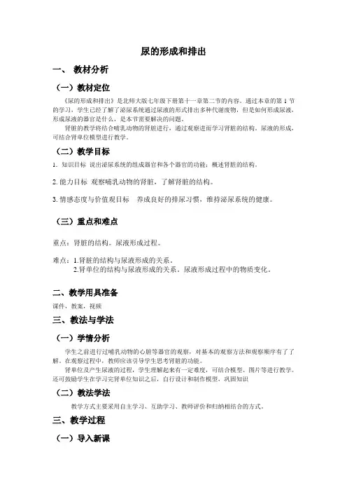 尿的形成和排出教案