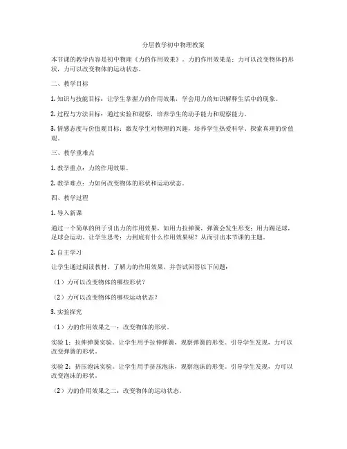 分层教学初中物理教案
