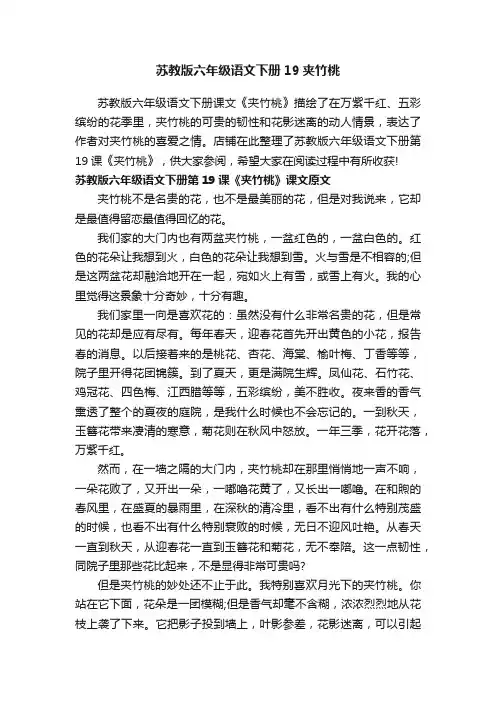 苏教版六年级语文下册19夹竹桃
