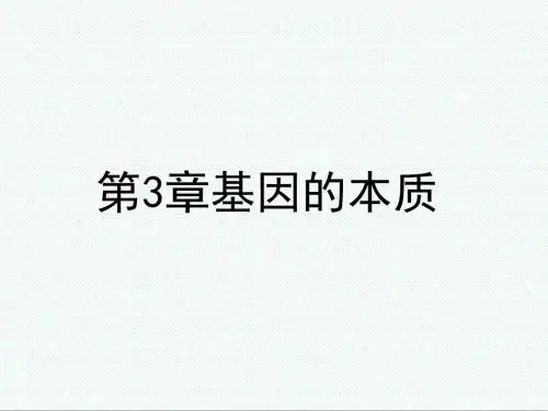 高中生物课件-新人教版高中生物必修二第三章《基因的