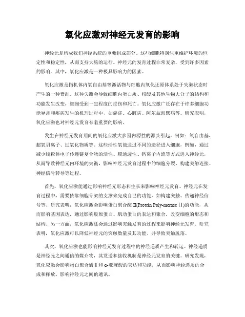 氧化应激对神经元发育的影响