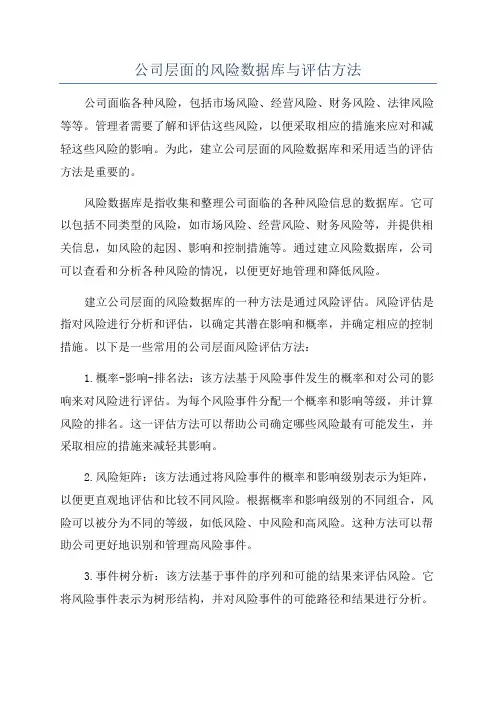 公司层面的风险数据库与评估方法