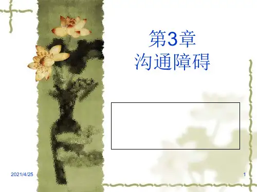 沟通的障碍(课堂PPT)