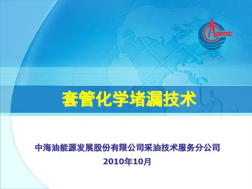 JS06-套管化学堵漏技术