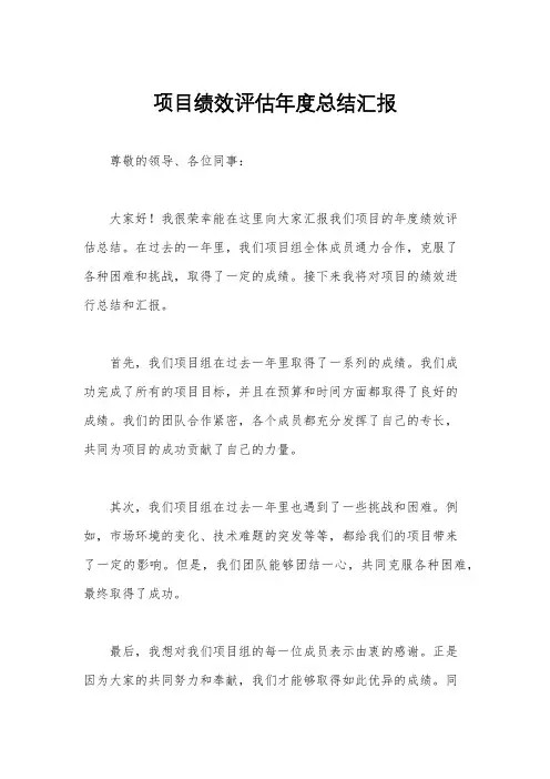 项目绩效评估年度总结汇报