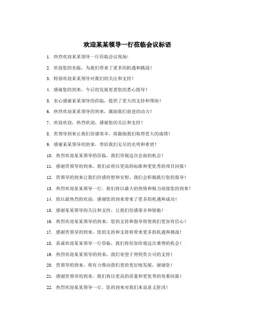 欢迎某某领导一行莅临会议标语