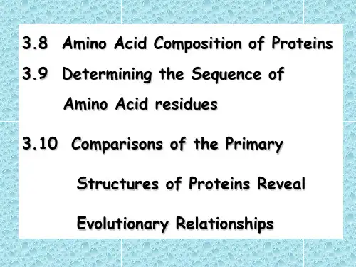 生物化学英文课件Biochemistry-chapter 3