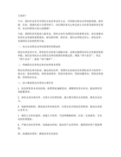 国企改革领导发言稿范文