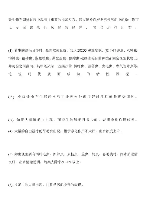 活性污泥常见的微生物 