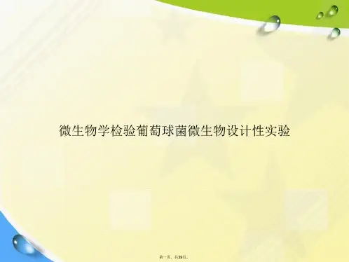 微生物学检验葡萄球菌微生物设计性实验讲课文档