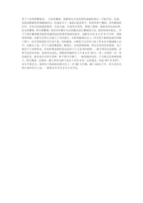 君子兰的繁殖