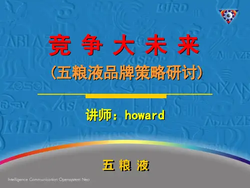 五粮液品牌策略研讨.pptx