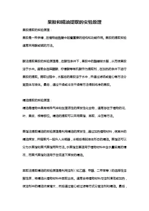 果胶和精油提取的实验原理