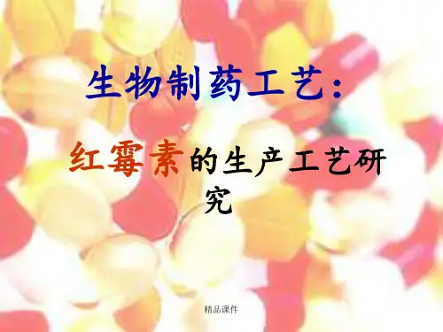 红霉素制作工艺研究