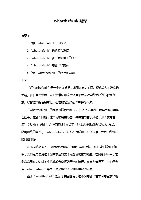 whatthefunk翻译