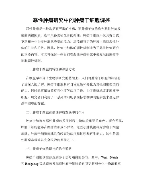 恶性肿瘤研究中的肿瘤干细胞调控
