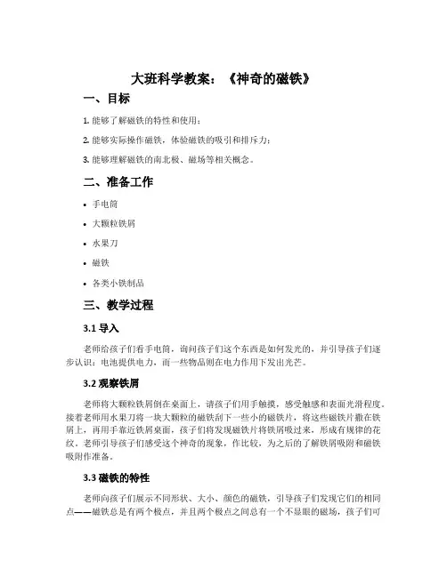 大班科学教案：《神奇的磁铁》