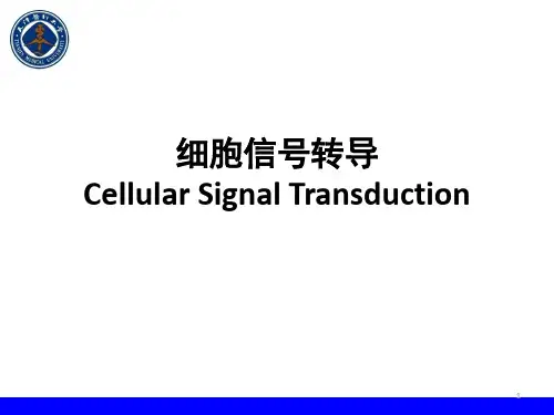 精品医学课件-细胞信号转导