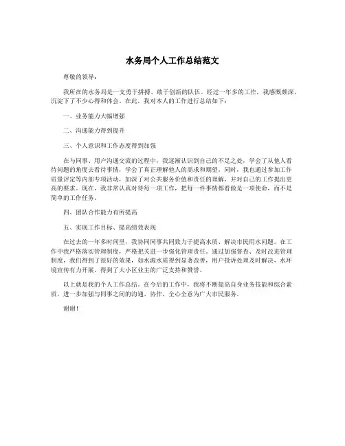 水务局个人工作总结范文