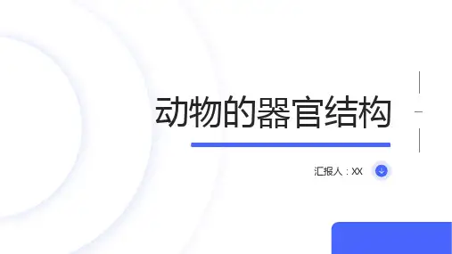 动物的器官结构