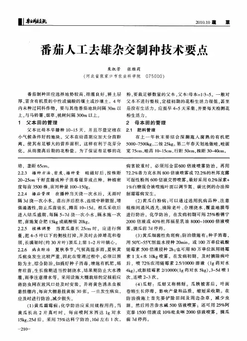 番茄人工去雄杂交制种技术要点