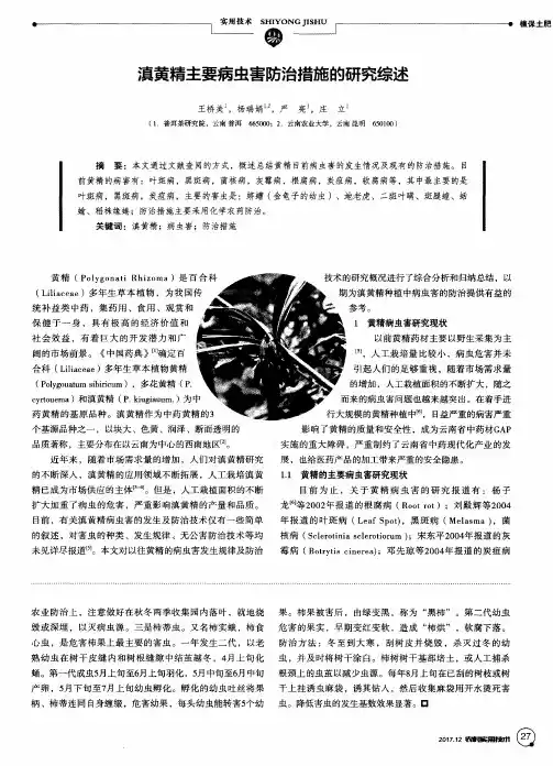 滇黄精主要病虫害防治措施的研究综述