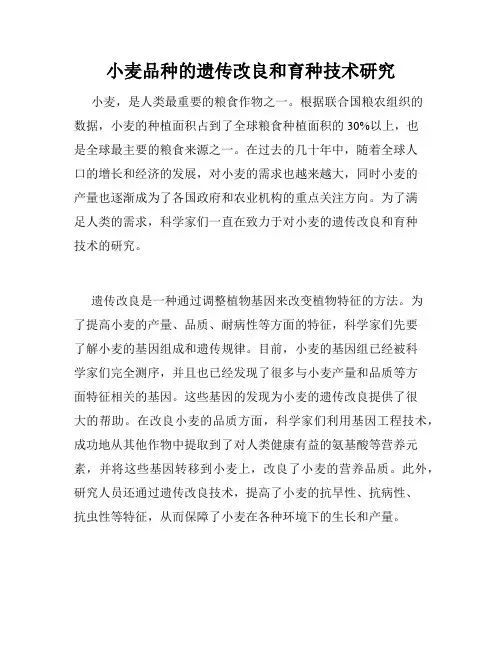 小麦品种的遗传改良和育种技术研究