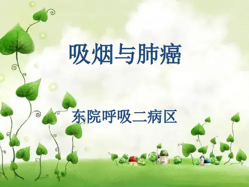 吸烟与肺癌PPT课件