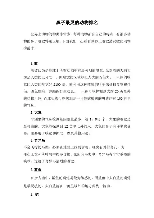 鼻子最灵的动物排名